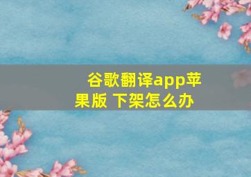 谷歌翻译app苹果版 下架怎么办